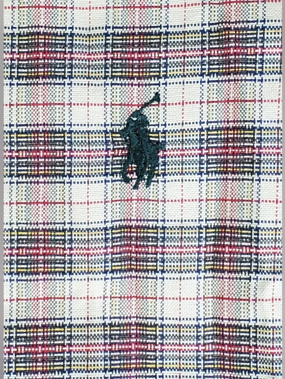 Polo Ralph Lauren this polo